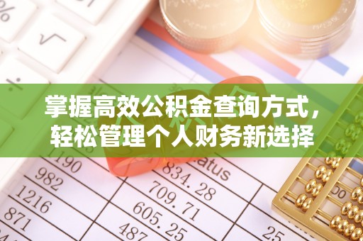永顺掌握高效公积金查询方式，轻松管理个人财务新选择