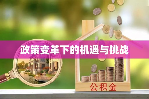 永顺政策变革下的机遇与挑战