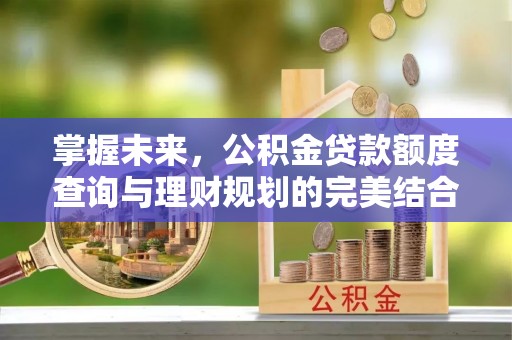 永顺掌握未来，公积金贷款额度查询与理财规划的完美结合