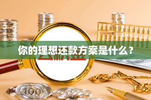 永顺你的理想还款方案是什么？